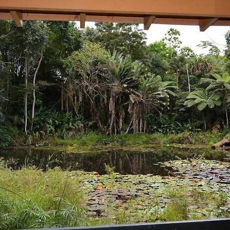 Rainforest Eco Lodge Suva Exterior photo