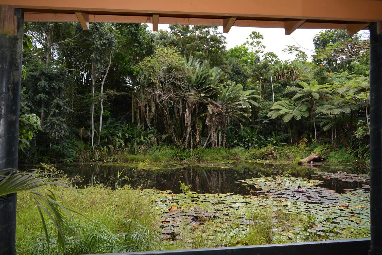 Rainforest Eco Lodge Suva Exterior photo