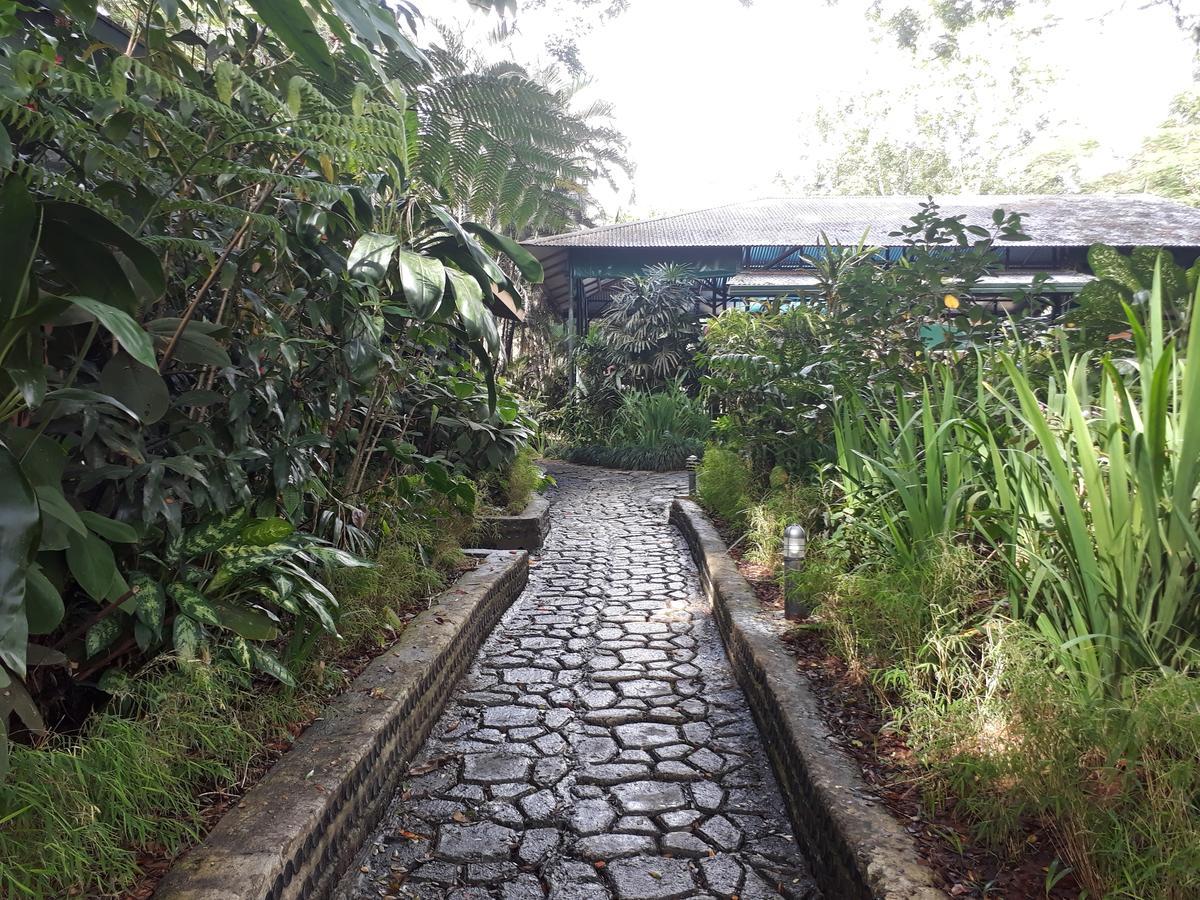 Rainforest Eco Lodge Suva Exterior photo