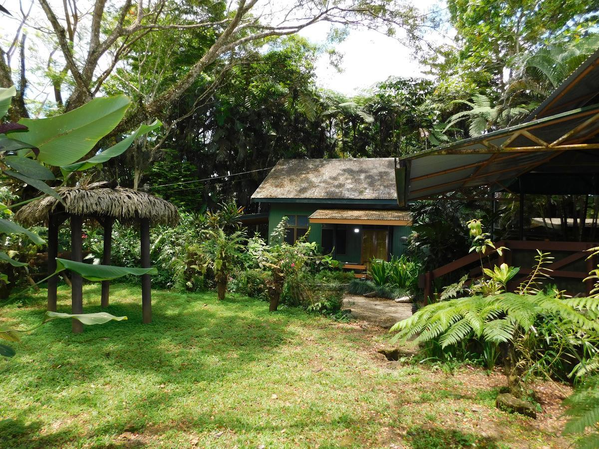 Rainforest Eco Lodge Suva Exterior photo