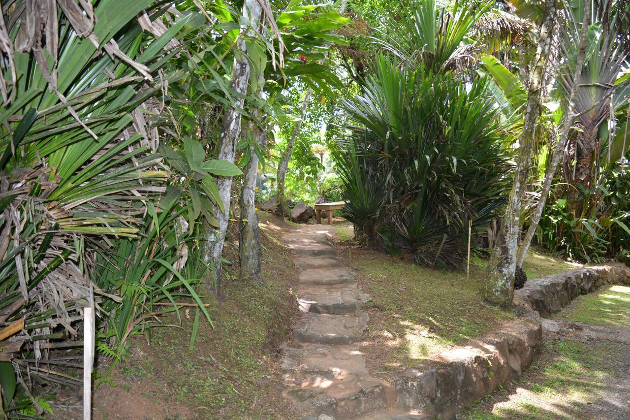 Rainforest Eco Lodge Suva Exterior photo