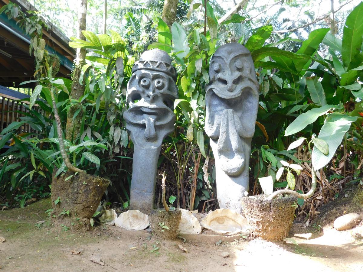 Rainforest Eco Lodge Suva Exterior photo