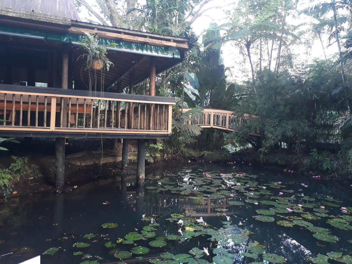 Rainforest Eco Lodge Suva Exterior photo