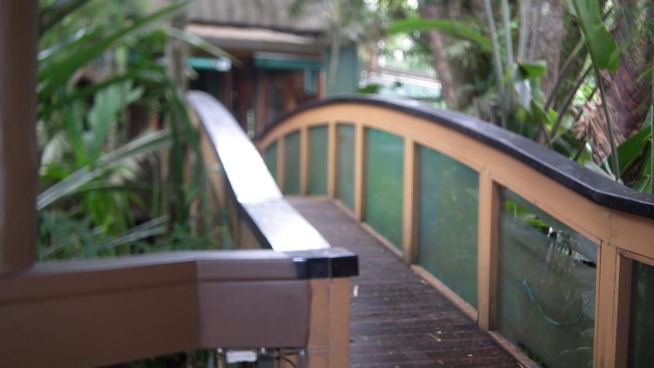 Rainforest Eco Lodge Suva Exterior photo